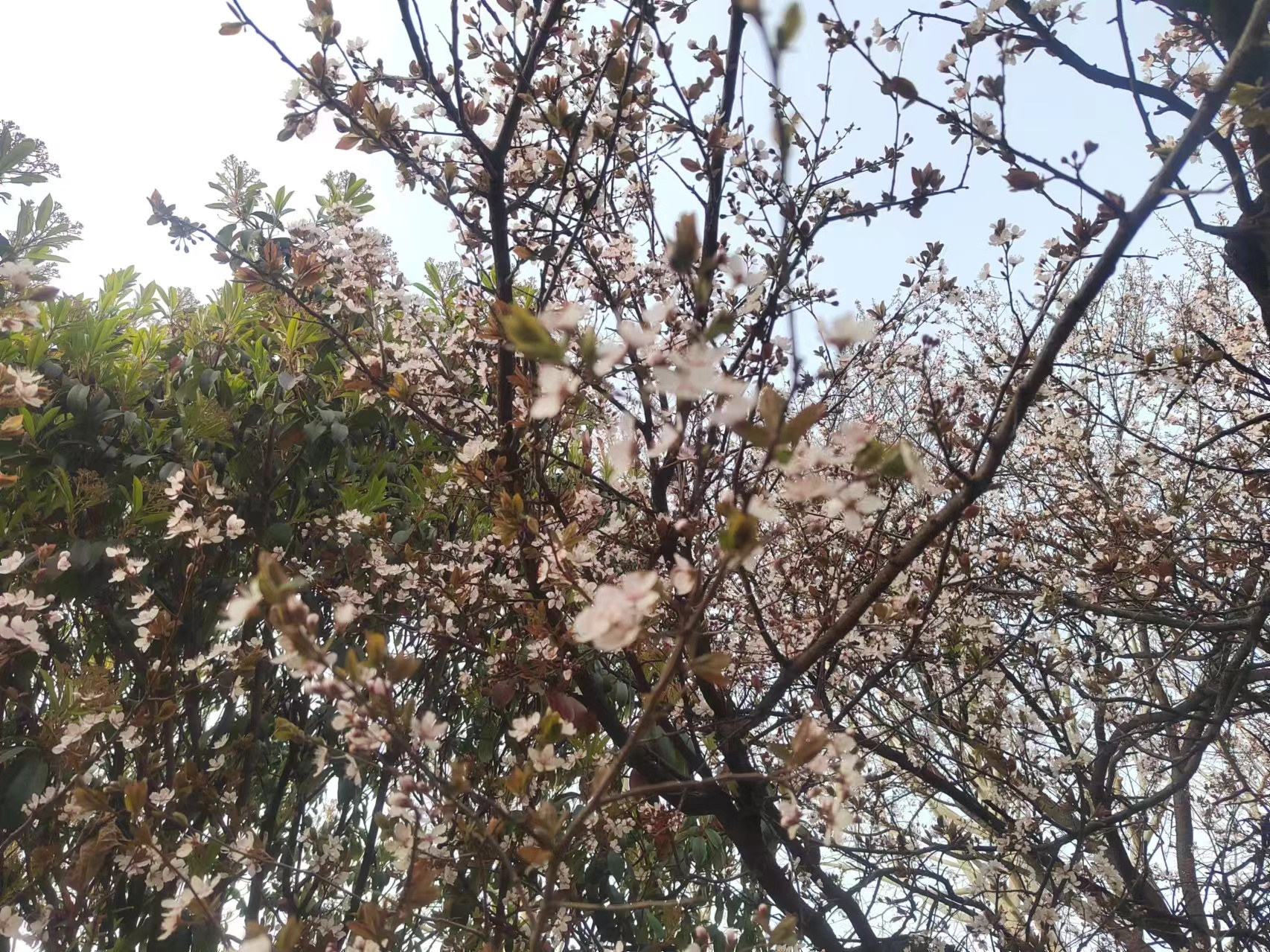 亦默